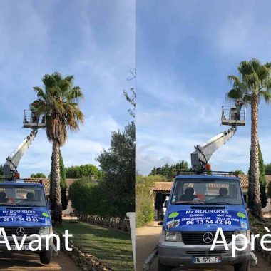 elagage-arbres-beziers