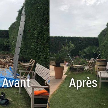 taille-haie-beziers
