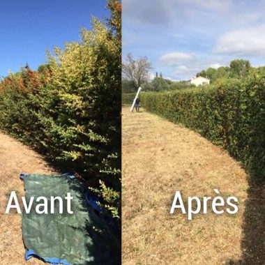 taille-haie-narbonne